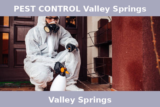 PEST CONTROL Valley Springs